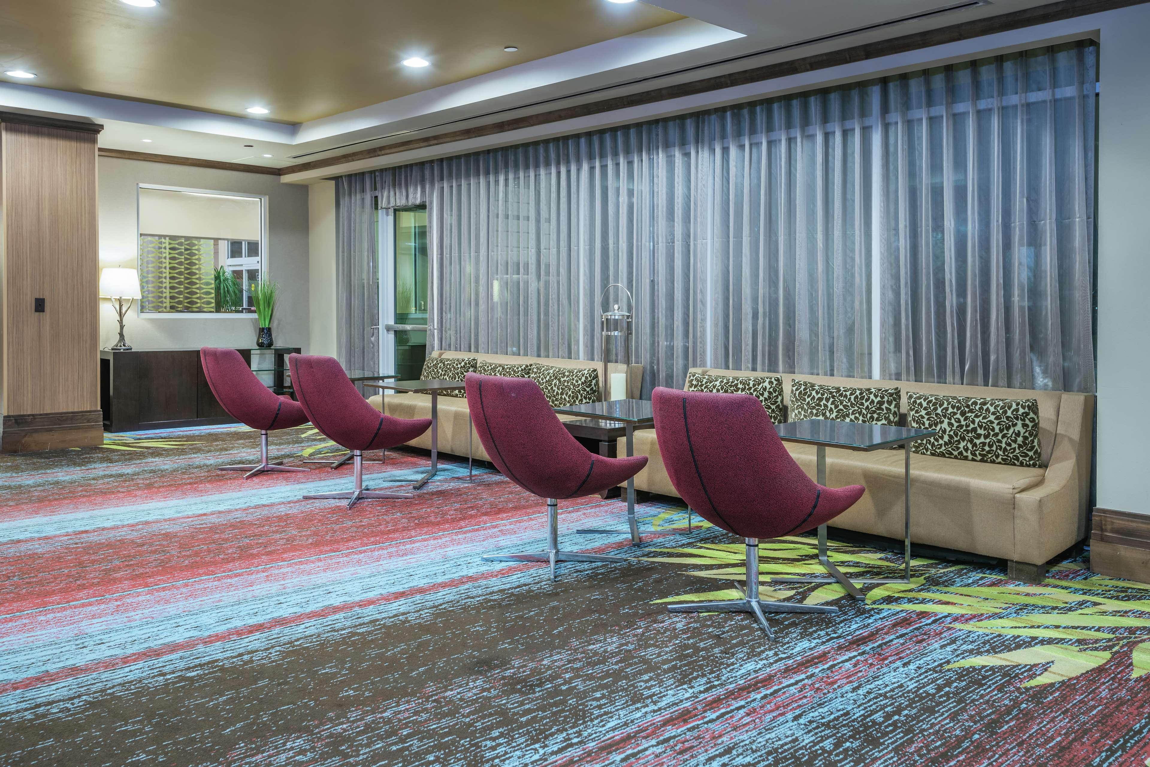 Hilton Garden Inn San Antonio/Rim Pass Drive Экстерьер фото