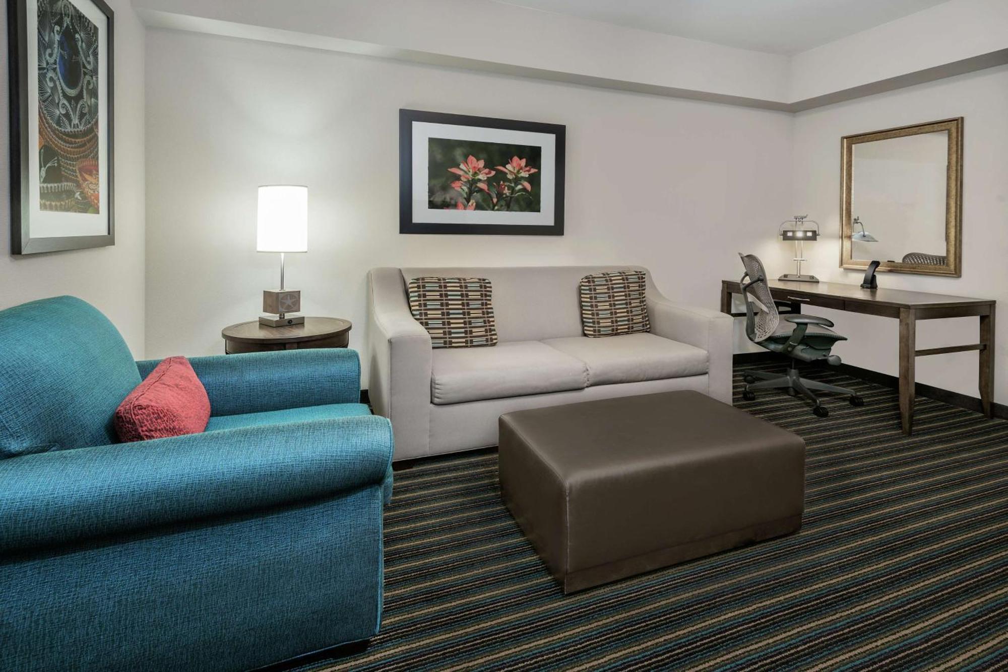 Hilton Garden Inn San Antonio/Rim Pass Drive Экстерьер фото